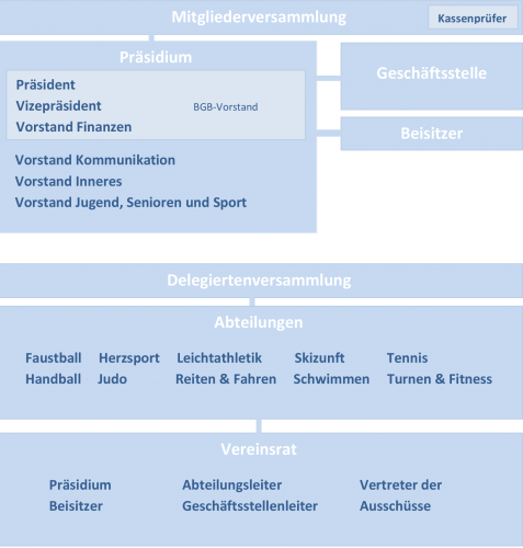 Organisationsstruktur des TV Vaihingen/Enz
