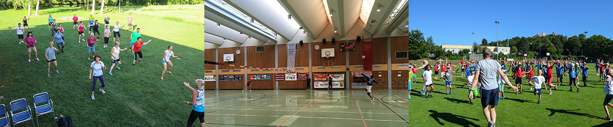 Organisationsstruktur des TV Vaihingen/Enz