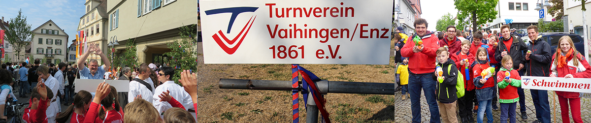 TV Vaihingen/Enz