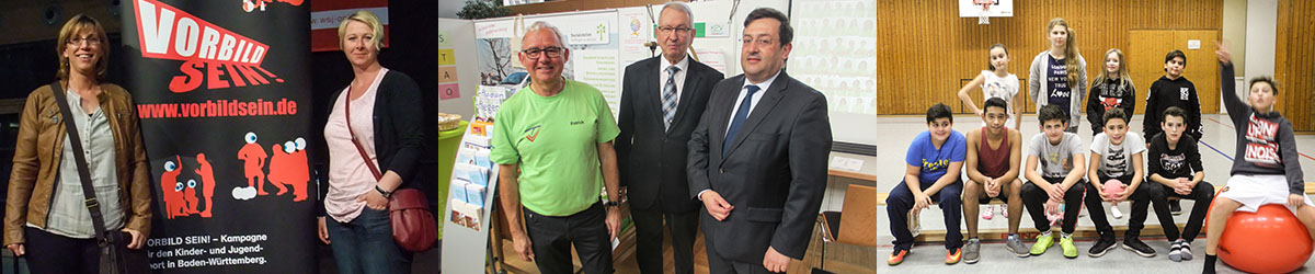 Organisationsstruktur des TV Vaihingen/Enz